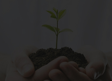 来利国际app(中国)官方正版_最给力的老牌