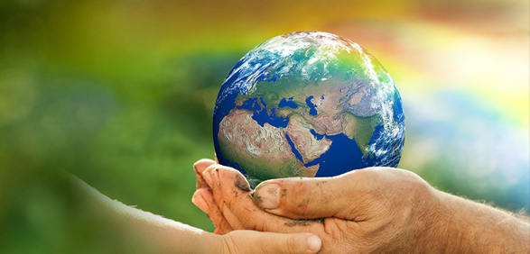 来利国际app(中国)官方正版_最给力的老牌